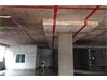 Shop-Mulgi for Sale in Hyderabad